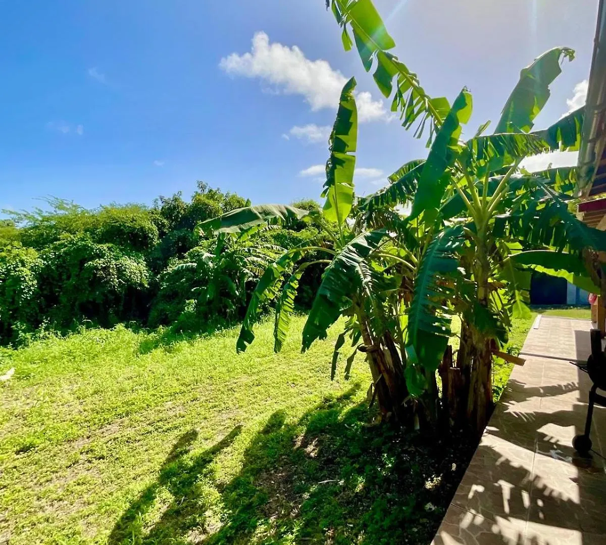 Villa Reve Creole Le Moule